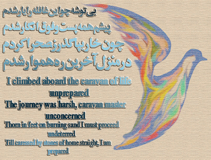 art-and-poetry-of-Shahram-Shimi
