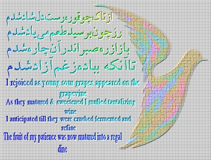 art-and-poetry-of-Shahram-Shimi