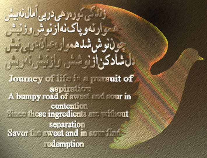 art-and-poetry-of-Shahram-Shimi