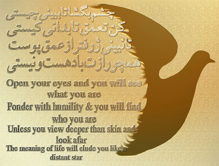 art-and-poetry-of-Shahram-Shimi