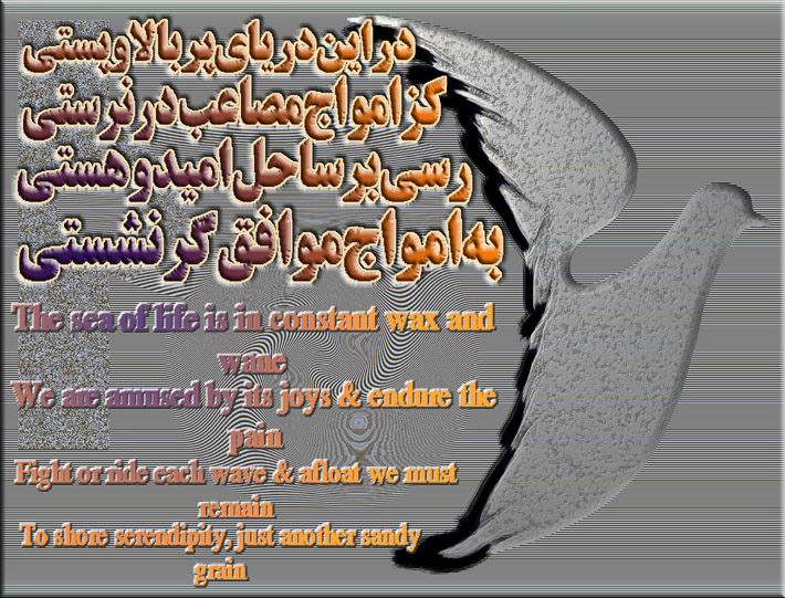 art-and-poetry-of-Shahram-Shimi