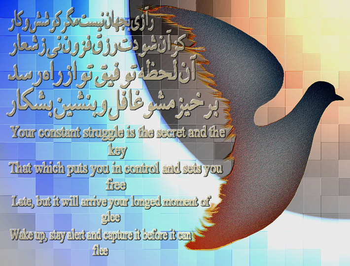 art-and-poetry-of-Shahram-Shimi