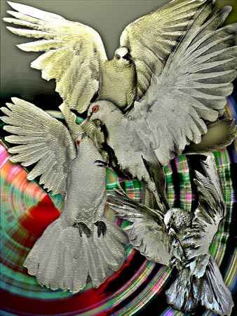 DOVES_MASTERPIECE1