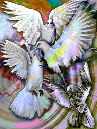 DOVES_MASTERPIECE3-4