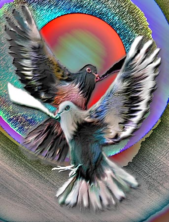 dobledove11