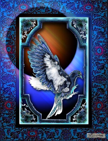 dove1