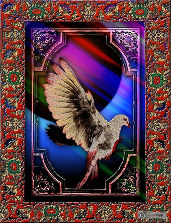 dove2