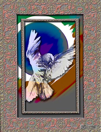 dove3