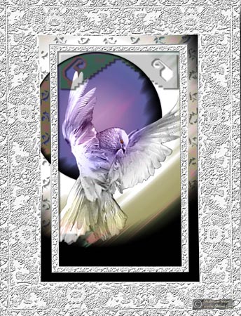 dove54