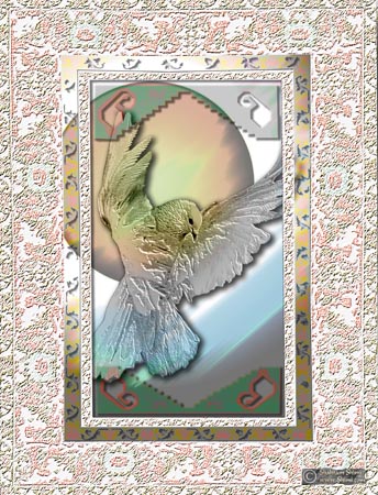 dove6
