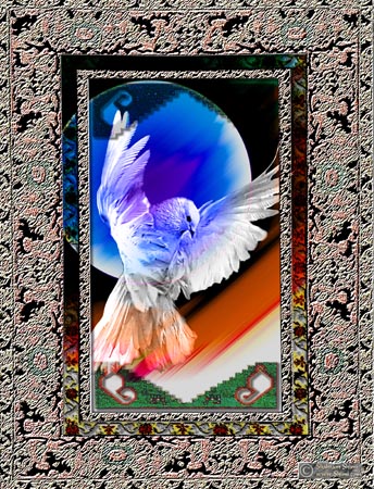 dove7