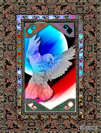 dove8
