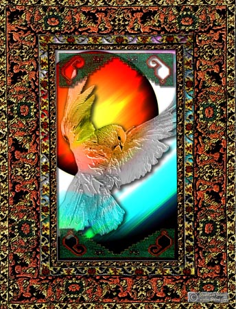dove9