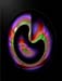 Curved space3