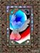 dove8