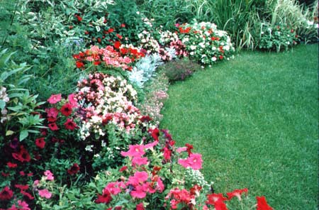 back garden